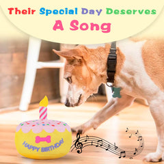 FurtasticFinds juguete musical con tarta para perros y juego