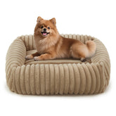 Cama Furtime para perro pequeño, frente, soporte cómodo para la cabeza.