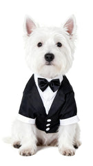GabeFish chaqueta de boda para perros con corbatín negro, vista frontal.