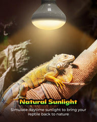 GAJUX bombilla rayos ultravioleta para reptil, luz solar favorece comportamientos.