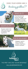 Gallagher's Water electrolitos-equinos para mantener hidratación durante esfuerzos