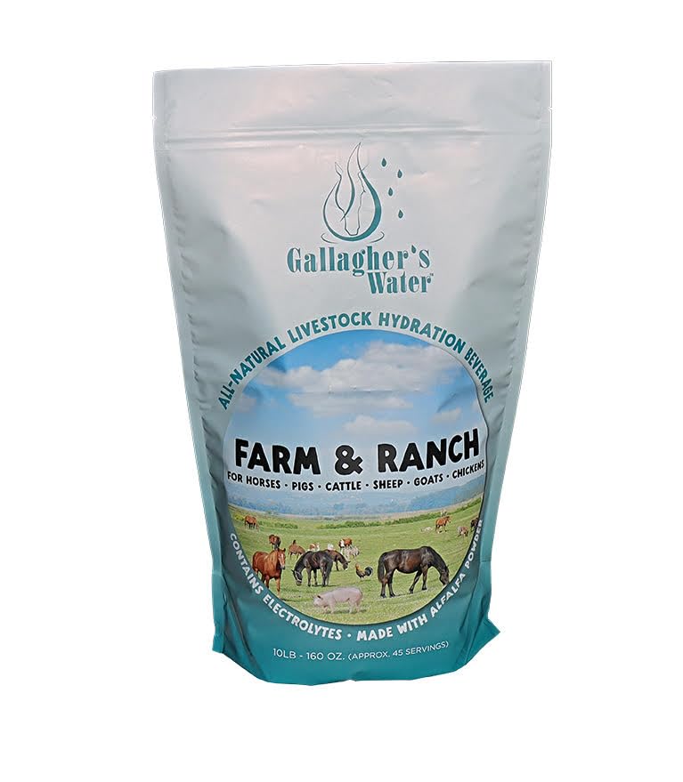 Gallagher's Water polvo-equino-medida para hidratación diaria del caballo