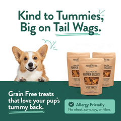 Galletas-calabaza-perros-entrenamiento-tamano-pequeno: trozos para perros pequeños.