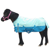 Gallopoff Manta Turnout Mini con cierre ajustable para un ajuste seguro