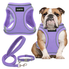 Arnés, collar y correa GAMUDA para mascota pequeña en lino, ideal para paseos diarios.