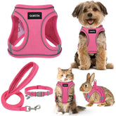GAMUDA arnés, collar y correa: conjunto completo para paseos seguros.