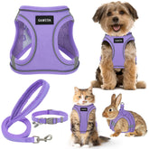 GAMUDA conjunto arnes-collar-y-leash para paseos prácticos y seguros.
