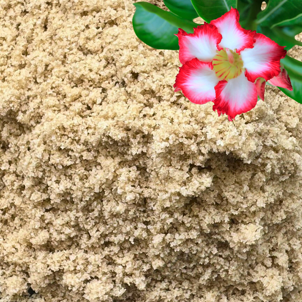 GARDENWISE arena para plantas, textura fina, mejora la aireación de sustratos interiores.