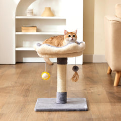 Gardner Pet árbol para gatos 20 pulgadas con percha estable para gatitos en espacios pequeños.
