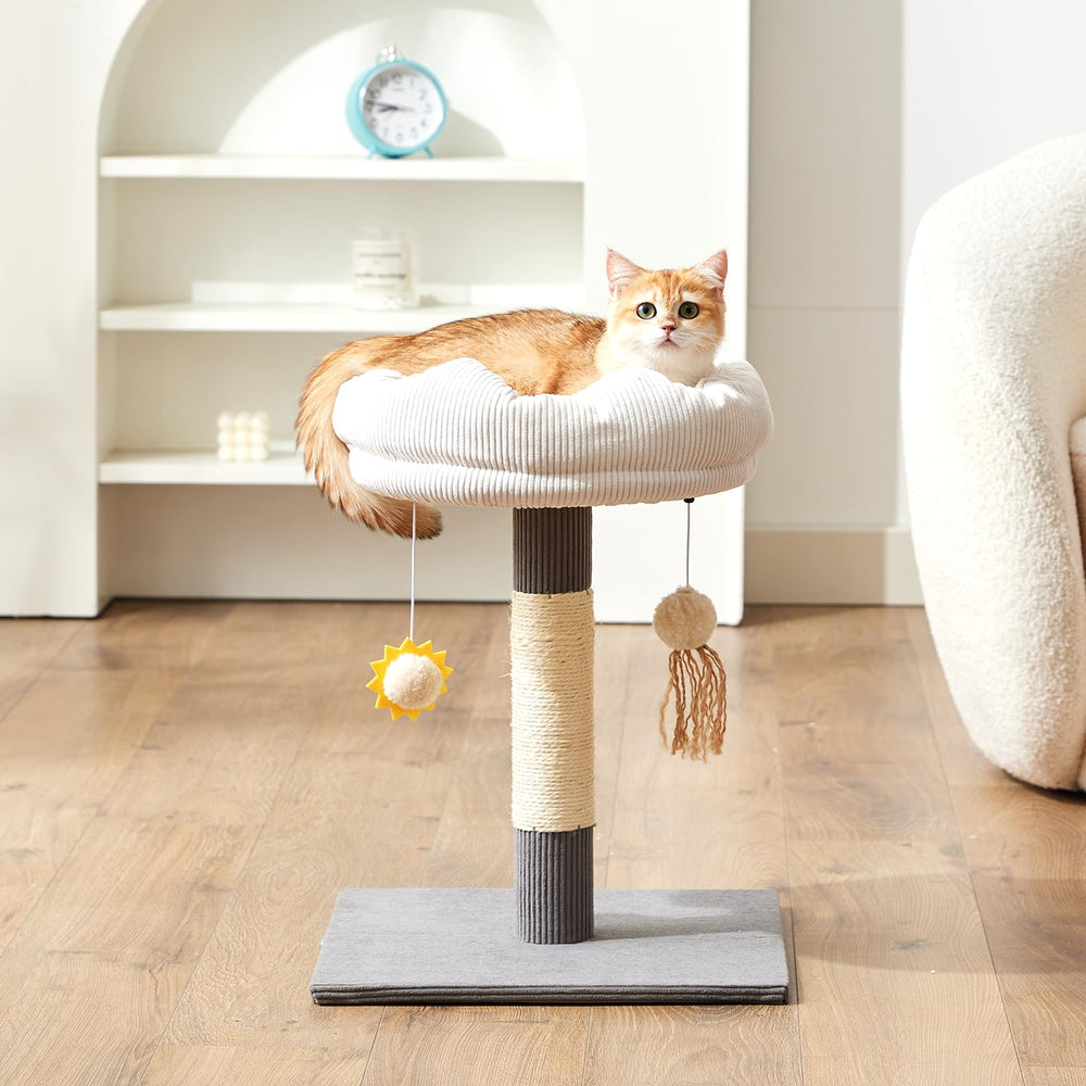 Gardner Pet árbol para gatos de 20 pulgadas, plataforma estable para descanso