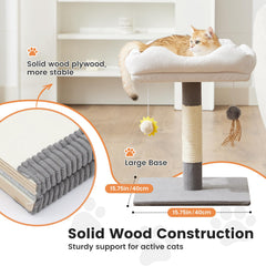 Gardner Pet base de madera sólida, estable para juego.