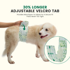 Gardner Pet panales-perro-masculino-sin-fugas: protección durante juego y movimientos.