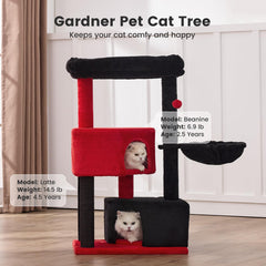 Gardner Pet refugios grandes y pequeños: zonas de descanso y observación para gatos.