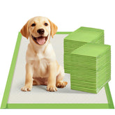 Gardner Pet tapete-entrenamiento 22x22 con borde doble para evitar fugas y proteger el piso.