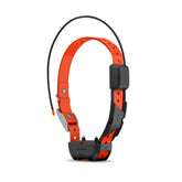 Garmin Alpha TT 25 collar GPS en acción facilita el seguimiento en terreno.