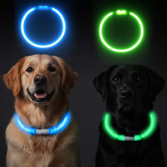 COLLAR GASRONS LED 360° para perros, mayor visibilidad nocturna en paseos