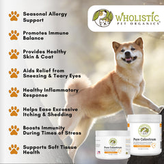 Gato disfruta Colostrum de Wholistic en su plato para piel y pelaje saludables
