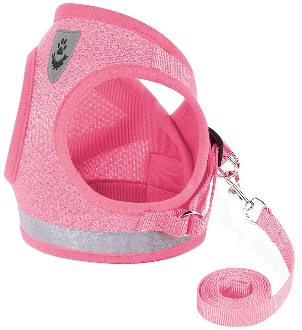 GAUTERF arnés para gatos con malla suave ideal para pasear.