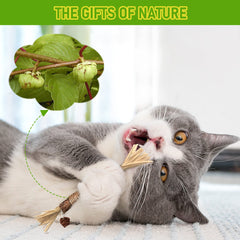 GBSYU palitos de silvervine, producto natural sin aditivos para gatos.