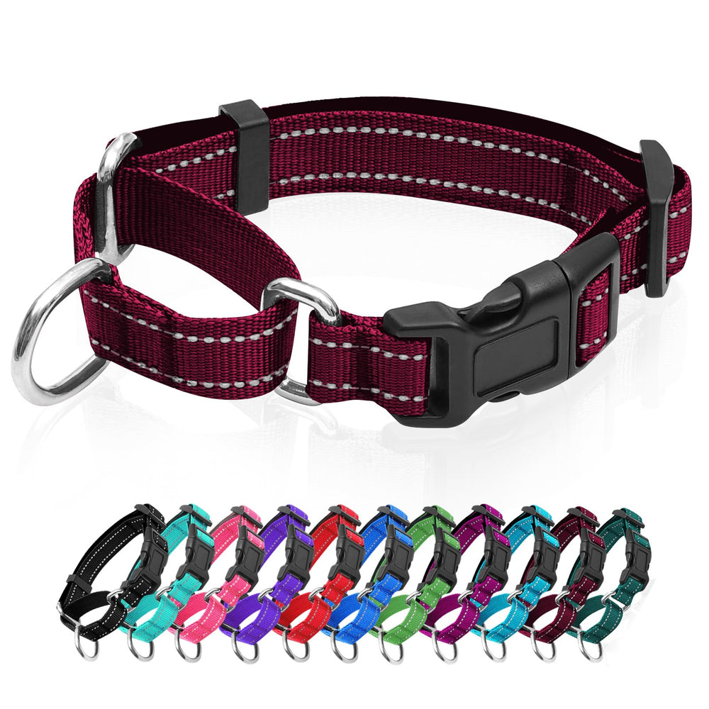 GDLKPS collar martingale reflectivo con hebilla para paseos nocturnos seguros.