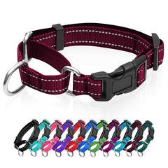 GDLKPS collar martingale reflectivo con hebilla para paseos nocturnos seguros.