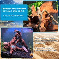 GDMYST Mopani natural, resistente para uso prolongado bajo agua o fuera