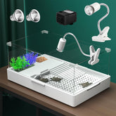 Geegoods tanque iluminado 360 grados para observar tortugas con claridad.