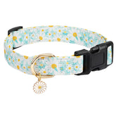 Collar Gelwoo Margarita cian mediano visto de frente, diseño floral para paseo diario