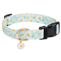 Collar Gelwoo Margarita cian mediano visto de frente, diseño floral para paseo diario