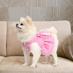 Generic vestido con lazo rosa para perro pequeño, perfecto para sesiones de fotos.