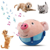 Geojec Pelota Interactiva para Perros con Sonido para ejercicio y diversión.