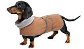 Geyecete Dachshund Sudadera Frente: abriga para paseos fríos.