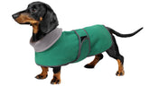 Geyecete Dachshund sudadera verde frontal: abrigo cálido para paseos invernales