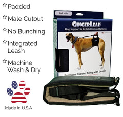 GingerLead con forro de pana suave para mayor confort durante paseos.