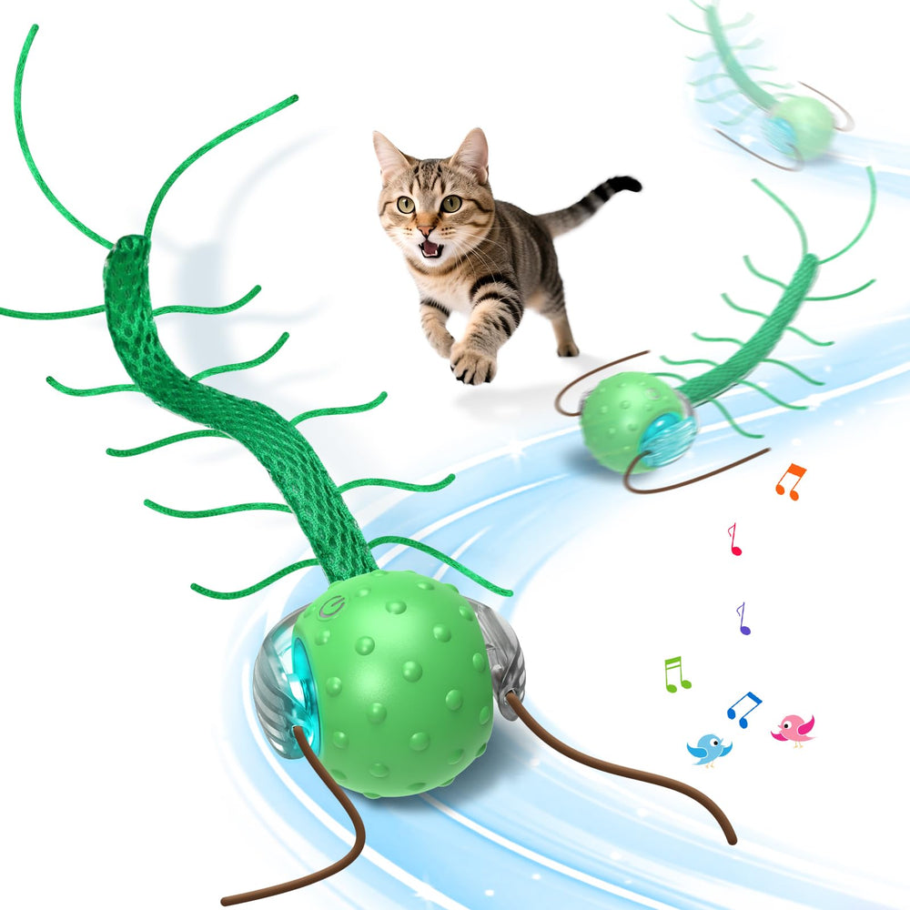 Pelota Giociv en movimiento ciempié para gatos activos