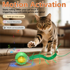 Luz LED parpadeante para curiosidad visual del gato