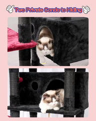 Gitelsnour condos espaciosos: refugio privado para gatos curiosos