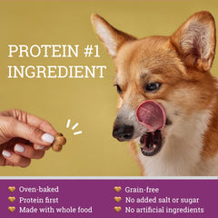 GivePet Doghouse Rock con ingredientes vegetales para una dieta equilibrada.