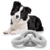 Glaciart One: anillo mordedor de lana feltrada para perros, ideal para masticar