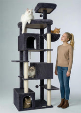 Globlazer Arbol Gato XL S80, vista frontal, estructura estable para varios gatos.