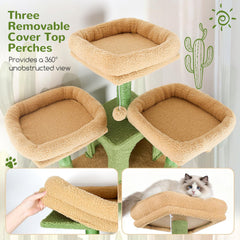 Globlazer Cactus: dos condos suaves para siestas tranquilas.