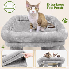 Globlazer Gato Torre – Condos espaciosos para retiros tranquilos.