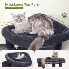 Globlazer Plataforma Grande Gatos Adultos para observar y estirar.