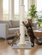 Globlazer poste para gato de 35 pulgadas en interiores, ayuda a afilar uñas y protege muebles