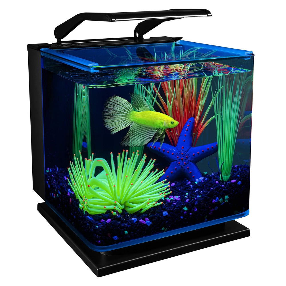 GloFish Betta Shadowbox Kit: acuario de 3 galones con iluminación LED para resaltar colores.