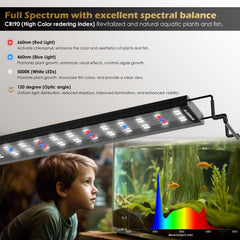GLOWRIUM luz acuario dia-noche transforma el ambiente con cambios sutiles.