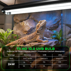 GlowUp cobertura amplia para jaula de reptiles, iluminación uniforme.