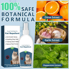 Aroma cítrico suave de Gnaye para un hogar fresco