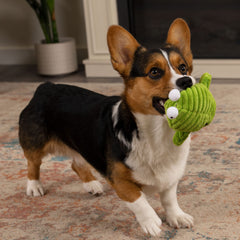 GoDog PlayClean Germs: zeolita con aceite de geranio para aroma fresco.