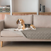 Funda impermeable gogobunny para cama de perro 30x70 protege muebles contra derrames